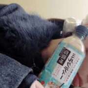 ヒメ日記 2025/11/07 16:05 投稿 五十幡みさ 全裸の極みorドッキング痴漢電車