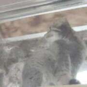 ヒメ日記 2025/12/16 21:25 投稿 五十幡みさ 全裸の極みorドッキング痴漢電車