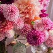 ヒメ日記 2025/07/11 16:16 投稿 花形なごみ ABC 岩手ソープ