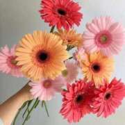 ヒメ日記 2025/10/06 00:16 投稿 花形なごみ ABC 岩手ソープ