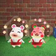 花形なごみ 18時から? ABC 岩手ソープ