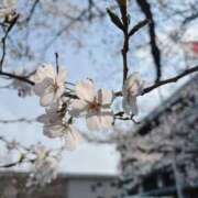 ヒメ日記 2025/04/13 17:01 投稿 せら SPIN(スピン)