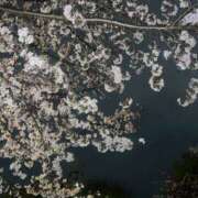 ヒメ日記 2025/04/14 20:12 投稿 あげは プロフィール 大阪店