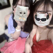 ヒメ日記 2025/11/07 22:00 投稿 れむ VIVIDCREW十三店