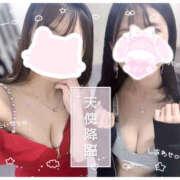 ヒメ日記 2026/02/22 12:30 投稿 れむ VIVIDCREW十三店