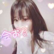 ヒメ日記 2025/04/04 15:25 投稿 らな 奥様特急　上野・鶯谷店