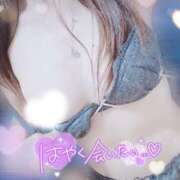 ヒメ日記 2025/04/06 02:09 投稿 らな 奥様特急　池袋・大塚店