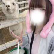 ヒメ日記 2026/02/16 18:20 投稿 める club Ego