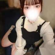 ヒメ日記 2025/04/24 14:07 投稿 トワ きらめけ！にゃんにゃん学園in大宮