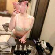 ヒメ日記 2025/07/10 14:30 投稿 トワ きらめけ！にゃんにゃん学園in大宮