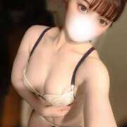 ヒメ日記 2025/08/16 05:43 投稿 トワ きらめけ！にゃんにゃん学園in大宮