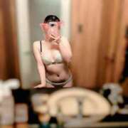 ヒメ日記 2025/11/20 03:37 投稿 トワ きらめけ！にゃんにゃん学園in大宮