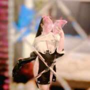 ヒメ日記 2026/03/31 15:15 投稿 トワ きらめけ！にゃんにゃん学園in大宮