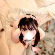 トワ 🔥明日25日出勤決定っ！✨🔥 きらめけ！にゃんにゃん学園in大宮