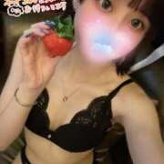 ヒメ日記 2025/04/20 13:35 投稿 なち High Quality デリバリーヘルス Platinum Club