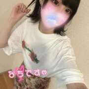 ヒメ日記 2025/09/05 12:06 投稿 なち High Quality デリバリーヘルス Platinum Club