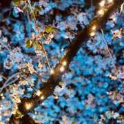 ヒメ日記 2025/04/14 21:31 投稿 まりん ぷるるん小町日本橋店