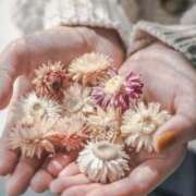 ヒメ日記 2025/04/29 19:36 投稿 かなこ 明石の熟女達・女華