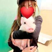 ヒメ日記 2025/05/12 10:09 投稿 ういか 熟女家 京橋店