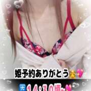 ヒメ日記 2025/04/16 12:05 投稿 ひな 水戸人妻花壇