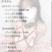 ヒメ日記 2025/12/12 04:34 投稿 カヨ 電マナイザー イラマチオン