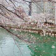 ヒメ日記 2025/04/03 19:03 投稿 しいな One More 奥様　錦糸町店