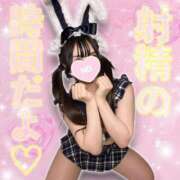 うと うとにうっとりシなきゃ損❣️損❣️ Gossip girl