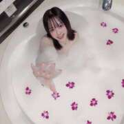 ヒメ日記 2025/11/12 12:38 投稿 ゆりあ★SS級華蓮な極上美人★ Bell～S級美女お姉様・人妻デリヘル～