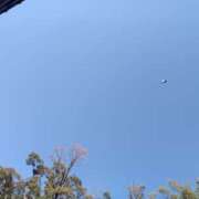 ヒメ日記 2026/03/24 11:16 投稿 遠山 ちか ミセス・レヴォアール～再会～