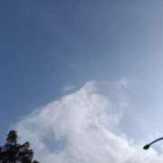 遠山 ちか お花見日和ですね ミセス・レヴォアール～再会～