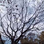 ヒメ日記 2026/03/30 11:00 投稿 遠山 ちか ミセス・レヴォアール～再会～