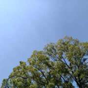 ヒメ日記 2026/05/20 11:00 投稿 遠山 ちか ミセス・レヴォアール～再会～