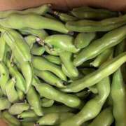 ヒメ日記 2025/05/12 13:30 投稿 ゆりこ 熟女の風俗最終章 蒲田店