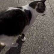 ヒメ日記 2025/07/17 15:31 投稿 ゆりこ 熟女の風俗最終章 蒲田店