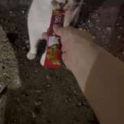 ヒメ日記 2025/07/21 08:50 投稿 ゆりこ 熟女の風俗最終章 蒲田店