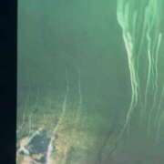 ヒメ日記 2025/07/23 15:50 投稿 ゆりこ 熟女の風俗最終章 蒲田店