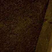 ヒメ日記 2025/09/08 12:20 投稿 ゆりこ 熟女の風俗最終章 蒲田店