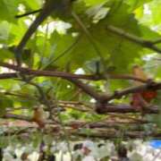 ヒメ日記 2025/09/19 08:20 投稿 ゆりこ 熟女の風俗最終章 蒲田店