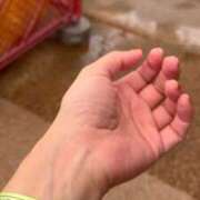 ヒメ日記 2025/10/08 15:40 投稿 ゆりこ 熟女の風俗最終章 蒲田店