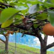 ヒメ日記 2025/10/26 10:31 投稿 ゆりこ 熟女の風俗最終章 蒲田店