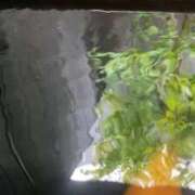 ヒメ日記 2025/10/30 20:30 投稿 ゆりこ 熟女の風俗最終章 蒲田店