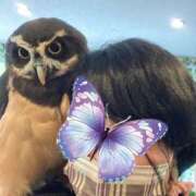 ヒメ日記 2025/11/14 15:20 投稿 ゆりこ 熟女の風俗最終章 蒲田店