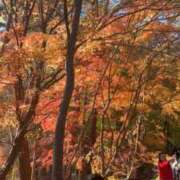 ヒメ日記 2025/11/30 22:31 投稿 ゆりこ 熟女の風俗最終章 蒲田店