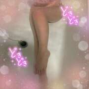 ヒメ日記 2025/04/05 17:15 投稿 アイ【♥妹系激カワバニー♥】 ドMなバニーちゃん和歌山店