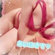 ヒメ日記 2025/05/02 23:46 投稿 アイ【♥妹系激カワバニー♥】 ドMなバニーちゃん和歌山店