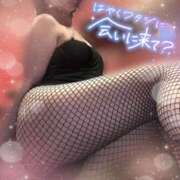 ヒメ日記 2025/06/25 07:19 投稿 アイ【♥妹系激カワバニー♥】 ドMなバニーちゃん和歌山店