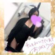 ヒメ日記 2025/06/25 14:19 投稿 アイ【♥妹系激カワバニー♥】 ドMなバニーちゃん和歌山店