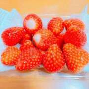 ヒメ日記 2025/05/03 17:08 投稿 りか 水戸人妻花壇