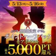ヒメ日記 2025/05/12 13:01 投稿 りか 水戸人妻花壇