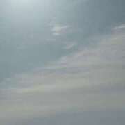 ヒメ日記 2025/05/13 08:01 投稿 りか 水戸人妻花壇